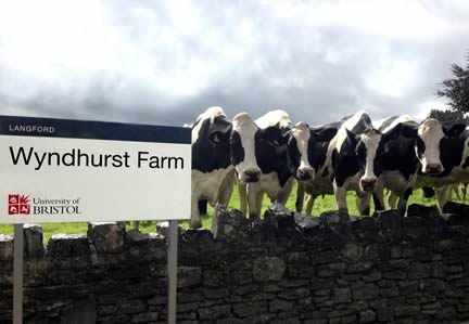 Wyndhurst Farm