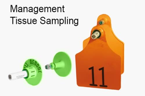 Tissue Sampling Tags