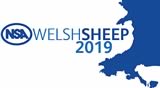 nsa Welsh Sheep 2019